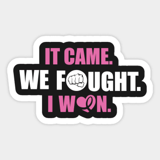 Cancer: It came. We fought. I win. Sticker